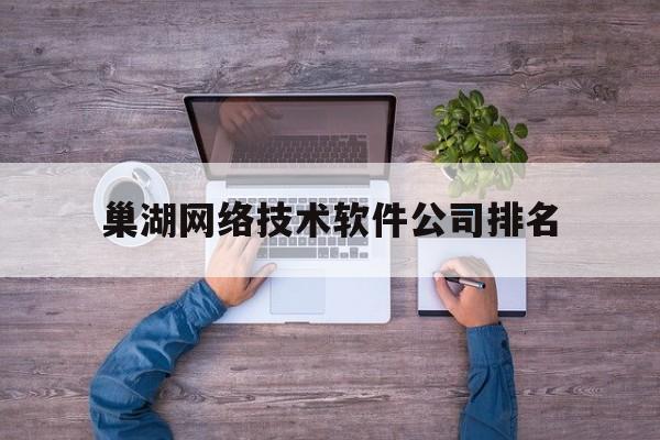 包含巢湖网络技术软件公司排名的词条