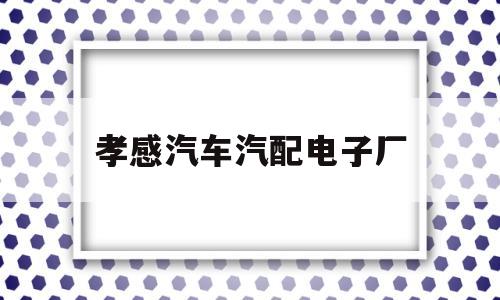 孝感汽车汽配电子厂(孝感汽车部件有限公司)