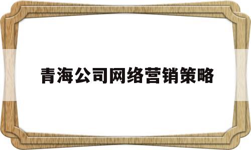 青海公司网络营销策略(青海公司网络营销策略有哪些)