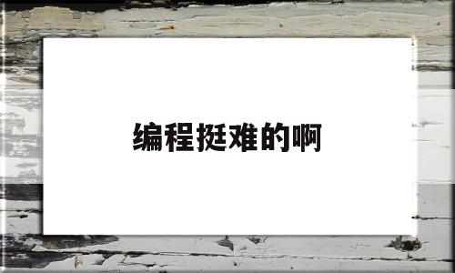 编程挺难的啊的简单介绍