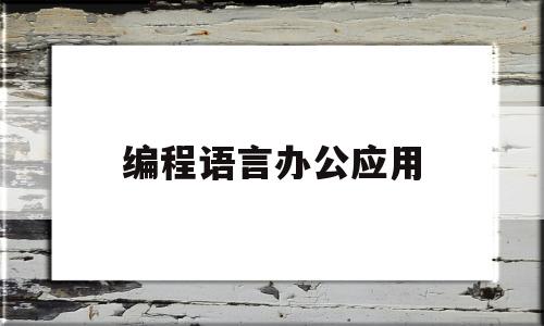 编程语言办公应用(适合办公的编程语言)