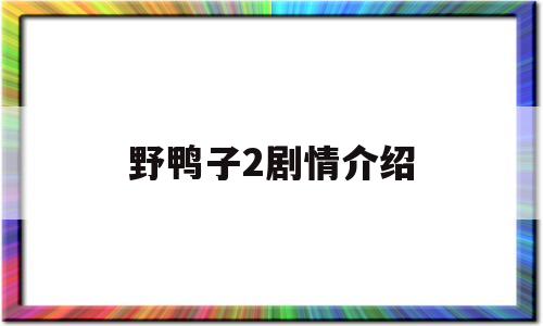 野鸭子2剧情介绍(野鸭子2剧情介绍电视)