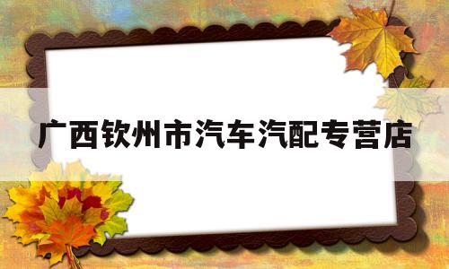 广西钦州市汽车汽配专营店(广西钦州市汽车汽配专营店在哪里)