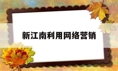 新江南利用网络营销(如何利用网络营销推广产品)