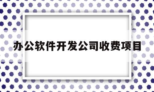 办公软件开发公司收费项目(办公软件开发公司收费项目是什么)