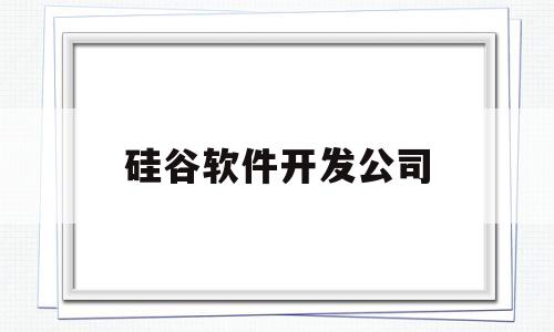 硅谷软件开发公司(硅谷软件开发公司排名)