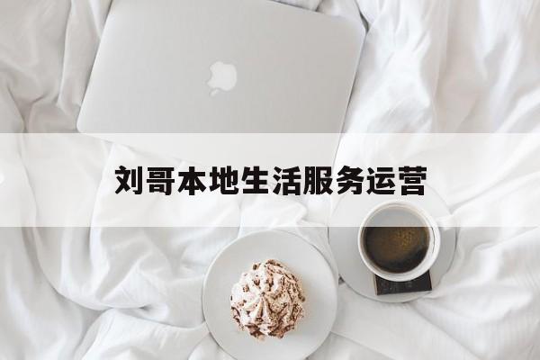 刘哥本地生活服务运营(本地生活服务类app赚钱吗?)