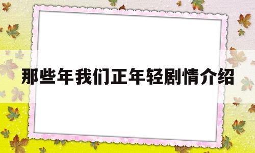 那些年我们正年轻剧情介绍(电视剧那些年我们正年轻)