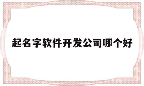 起名字软件开发公司哪个好(软件开发大公司好还是小公司好)