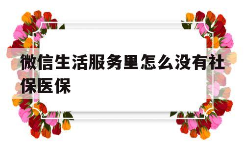 微信生活服务里怎么没有社保医保(我的微信生活缴费怎么没有医保社保)