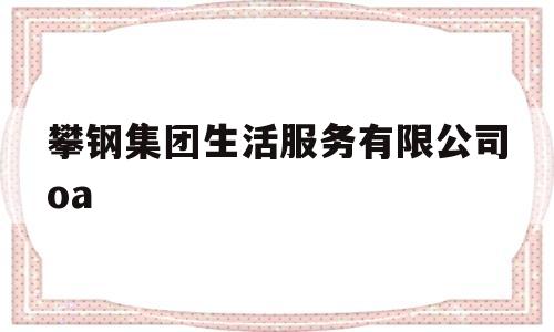 攀钢集团生活服务有限公司oa(攀钢集团生活服务有限公司吉靓轩超市)