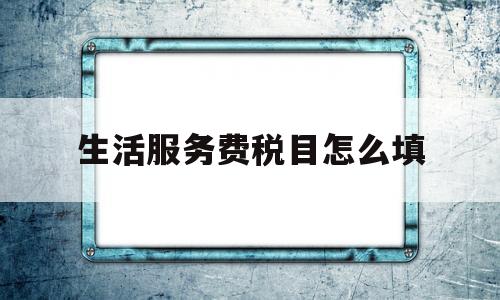 关于生活服务费税目怎么填的信息