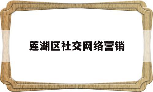 莲湖区社交网络营销(莲湖区社交网络营销公司)