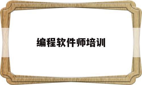 编程软件师培训(软件编程培训去哪里)