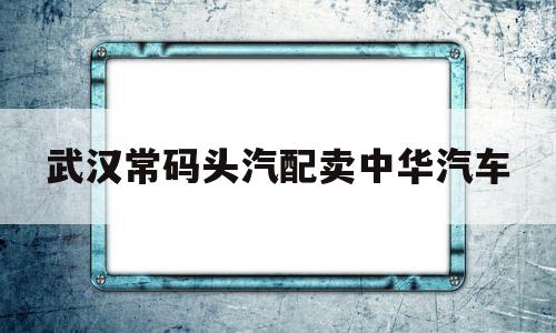 包含武汉常码头汽配卖中华汽车的词条