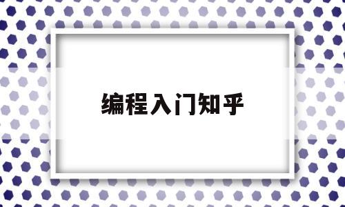 编程入门知乎(编程入门哪个好)