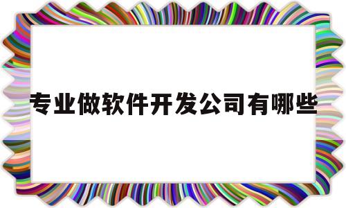 专业做软件开发公司有哪些(专业做软件开发公司有哪些公司)