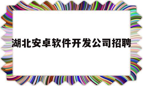 湖北安卓软件开发公司招聘(湖北的软件公司)