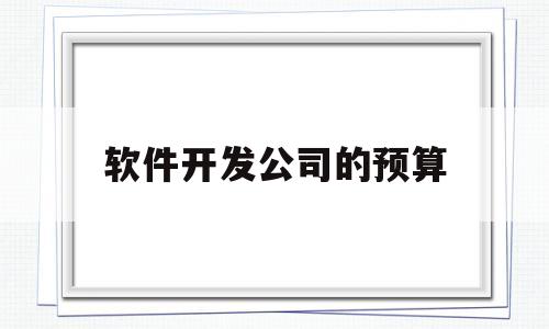 软件开发公司的预算(软件开发项目预算实例)
