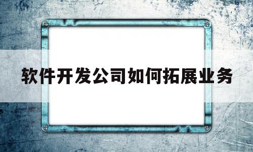 软件开发公司如何拓展业务(软件开发公司如何拓展业务管理)