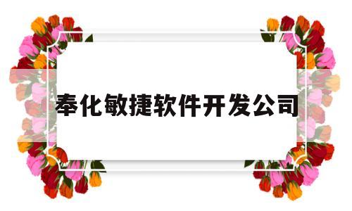 奉化敏捷软件开发公司的简单介绍