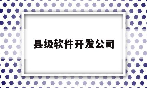 县级软件开发公司(软件开发政府哪个部门管理)