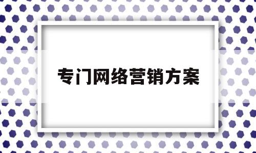 专门网络营销方案(网络营销方案5000字)