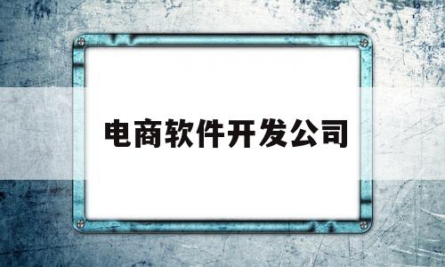 电商软件开发公司(电商平台软件开发公司知乎)