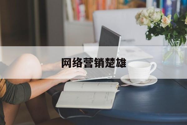 网络营销楚雄(网络营销创意主题)