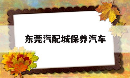 东莞汽配城保养汽车(东莞汽配批发市场在哪里)