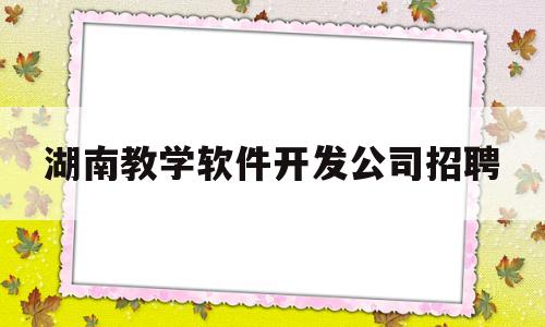 湖南教学软件开发公司招聘(湖南做教育信息化软件的公司)