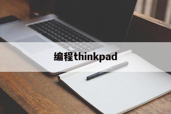 编程thinkpad(编程thinkpad和拯救者选哪个好)
