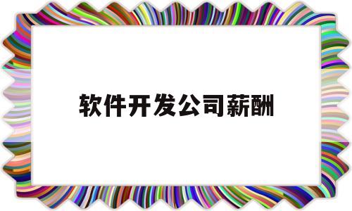 软件开发公司薪酬(软件开发公司一般薪水多少)