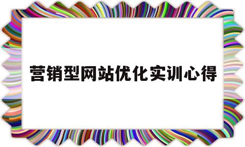 营销型网站优化实训心得(vbse实训报告总结心得)