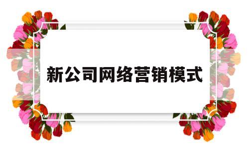 新公司网络营销模式(公司如何进行网络营销)