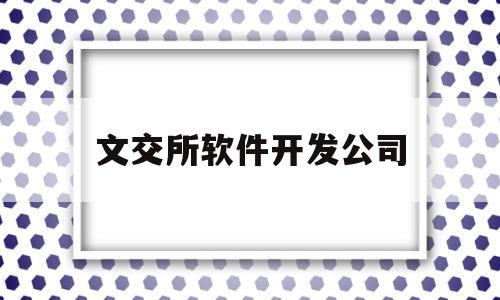 文交所软件开发公司(文交所一般都是什么业务)