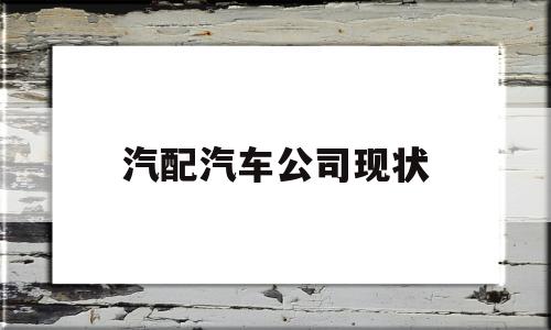 汽配汽车公司现状(汽配行业的经营现状和发展规模)