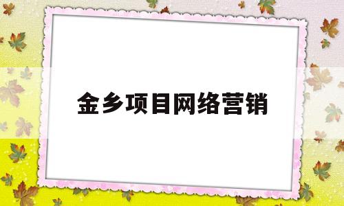 金乡项目网络营销(网络营销项目策划流程)