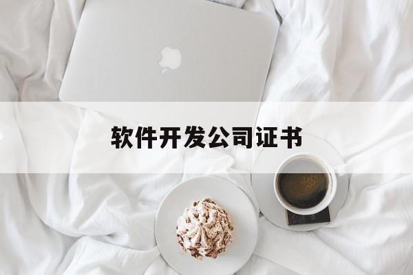 软件开发公司证书(软件开发工程师资格证书)