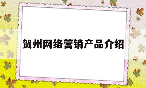 贺州网络营销产品介绍的简单介绍