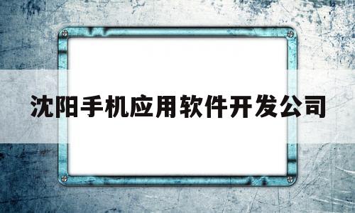 沈阳手机应用软件开发公司(沈阳手机应用软件开发公司排名)