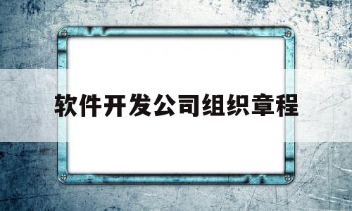 软件开发公司组织章程(软件开发公司组织章程范本)