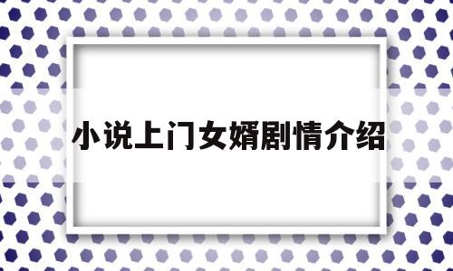 小说上门女婿剧情介绍(小说上门女婿剧情介绍全集)