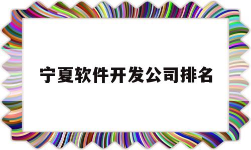 宁夏软件开发公司排名(宁夏回族自治区软件工业设计)