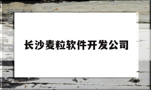 长沙麦粒软件开发公司(长沙麦粒软件开发公司招聘)