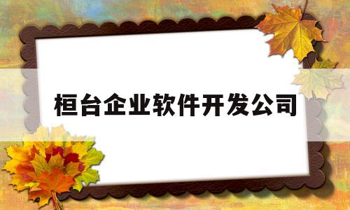 桓台企业软件开发公司(桓台企业软件开发公司排名)