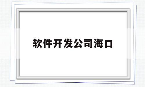 软件开发公司海口(软件开发公司海口分公司)