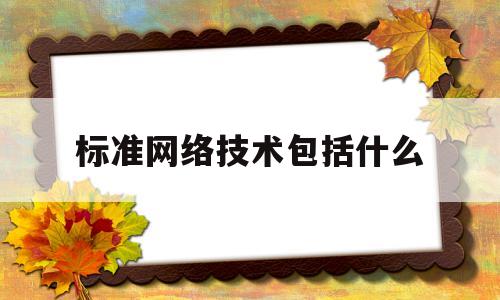 标准网络技术包括什么(标准网络技术包括什么内容)