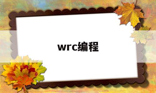 wrc编程(wrc编程大赛官网)