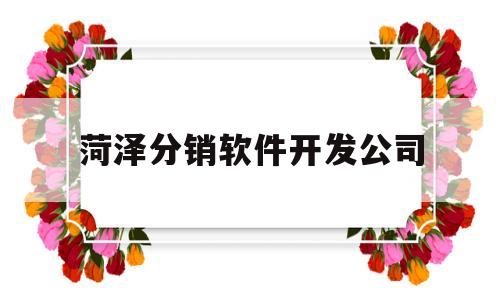 菏泽分销软件开发公司(菏泽分销软件开发公司招聘)